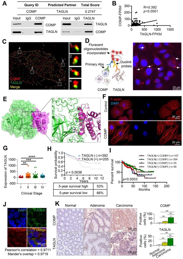 Theranostics Image