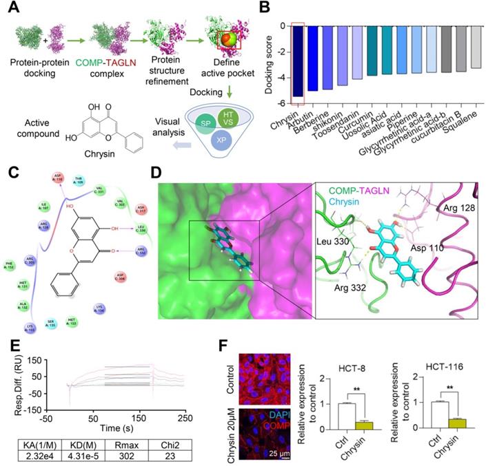 Theranostics Image