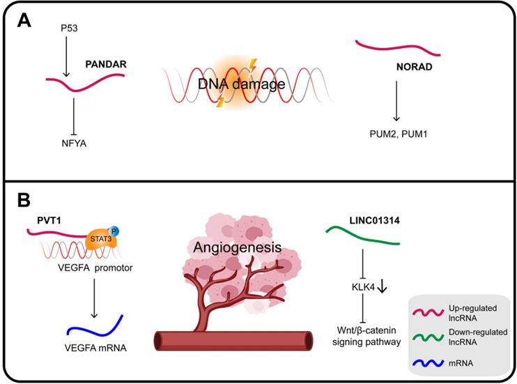 Theranostics Image