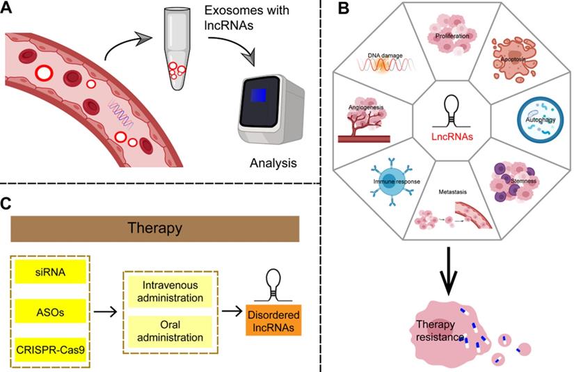 Theranostics Image