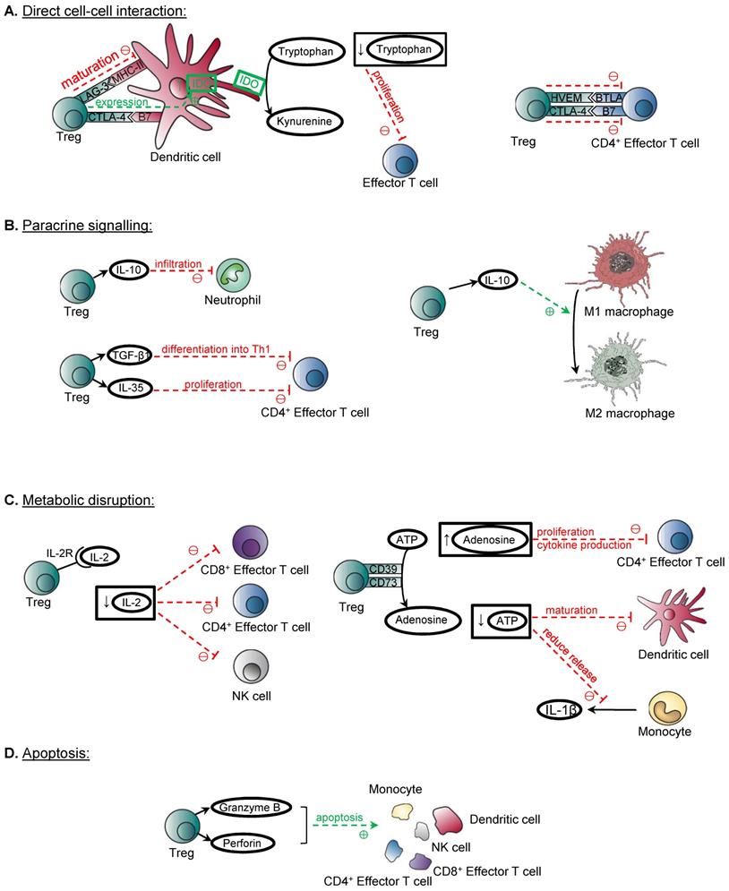 Theranostics Image