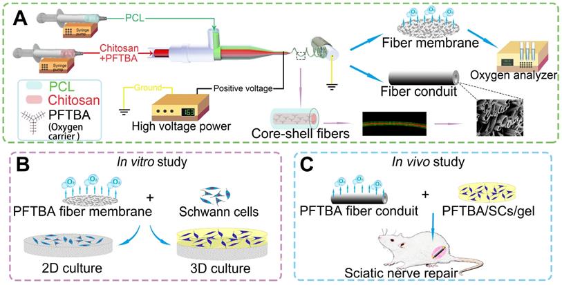 Theranostics Image