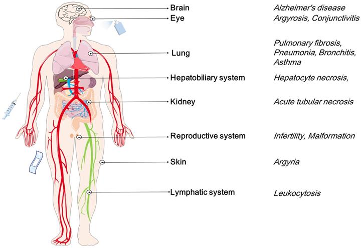 Theranostics Image