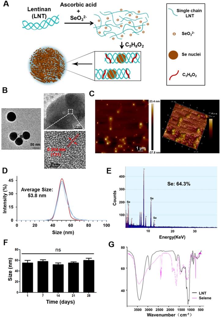 Theranostics Image