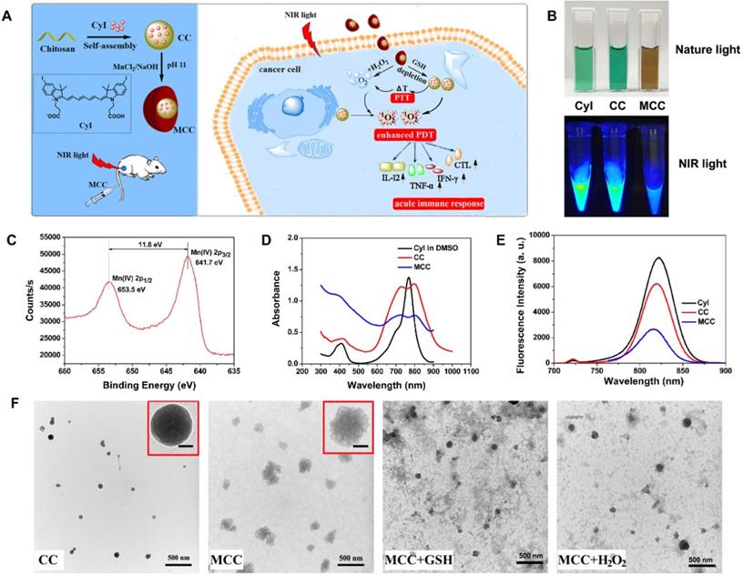 Theranostics Image