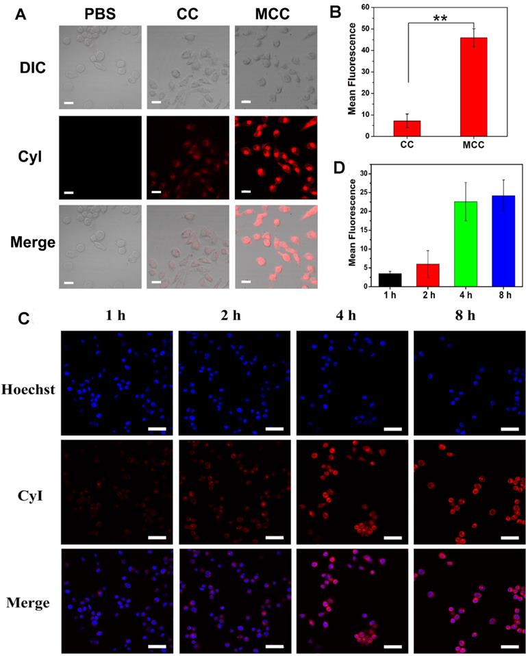 Theranostics Image