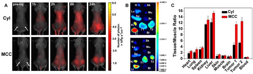 Theranostics Image