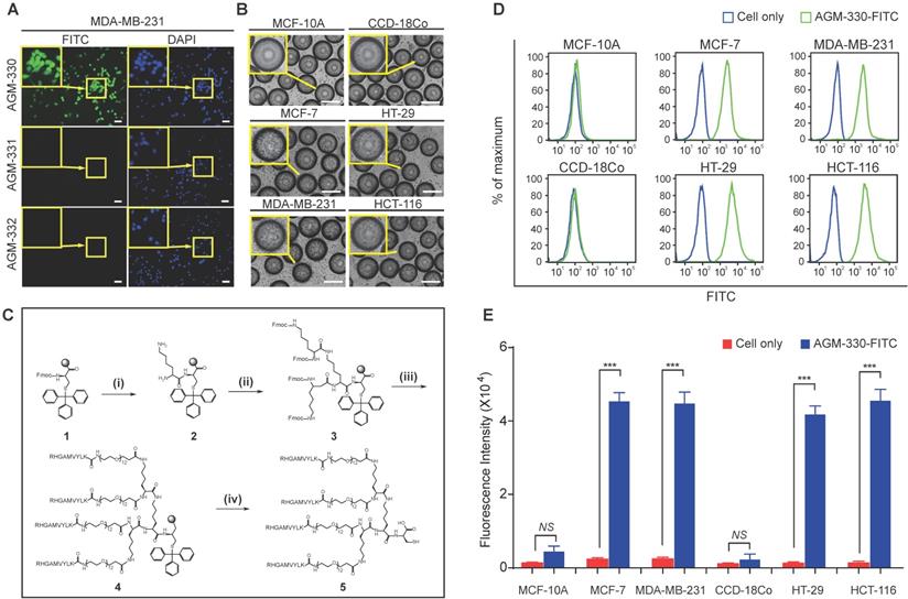 Theranostics Image