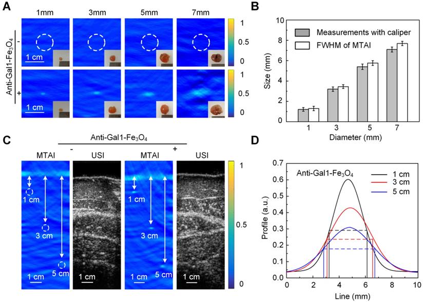 Theranostics Image