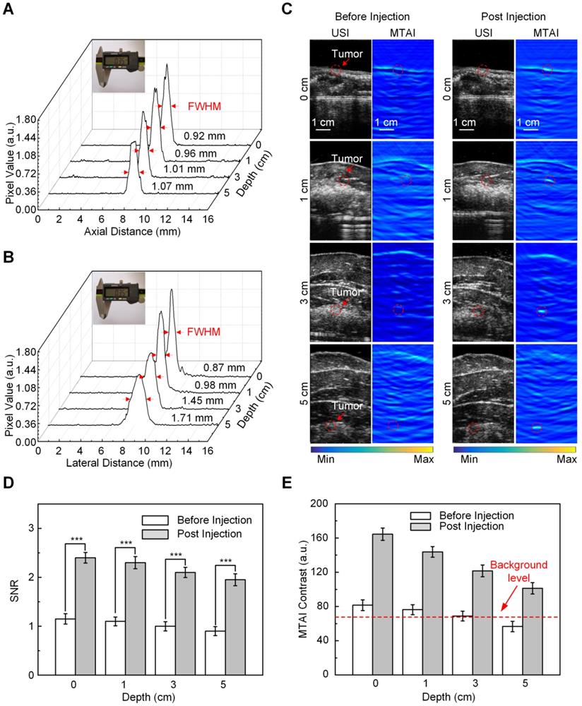 Theranostics Image