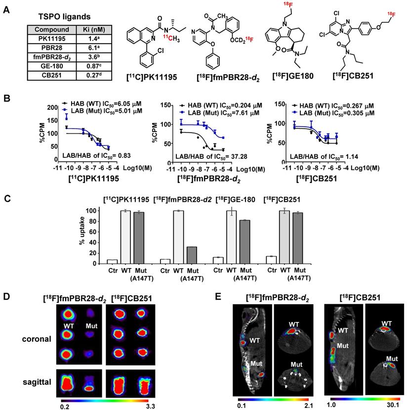 Theranostics Image