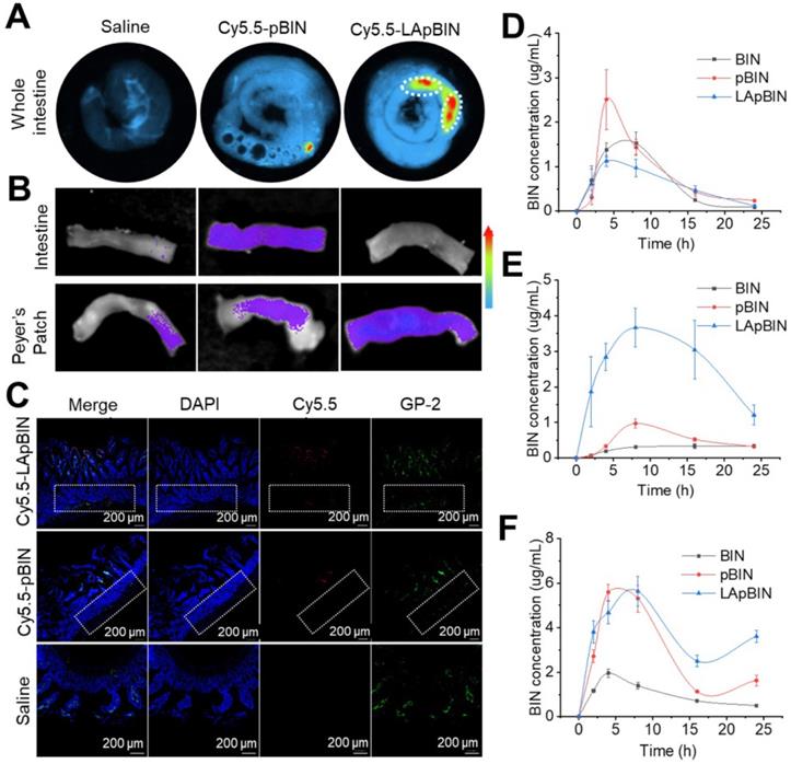 Theranostics Image