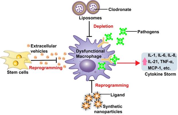 Theranostics Image