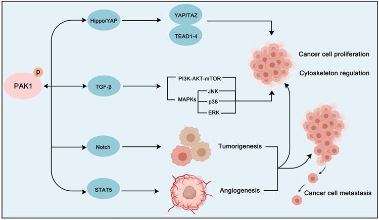 Theranostics Image