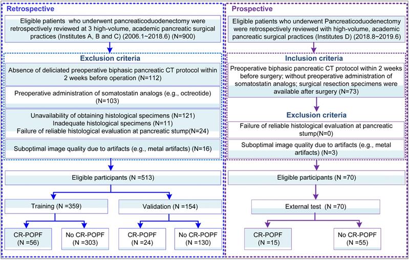 Theranostics Image