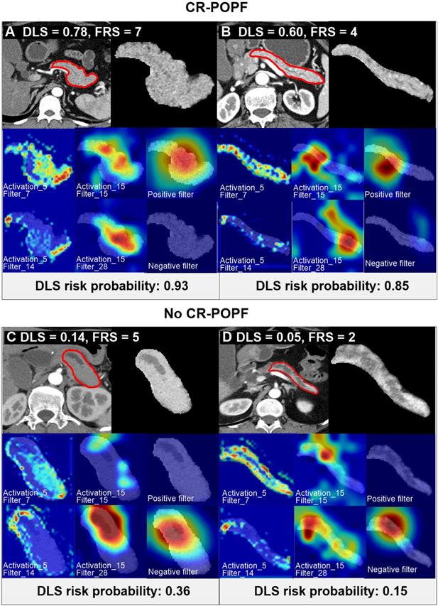 Theranostics Image