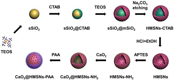 Theranostics Image