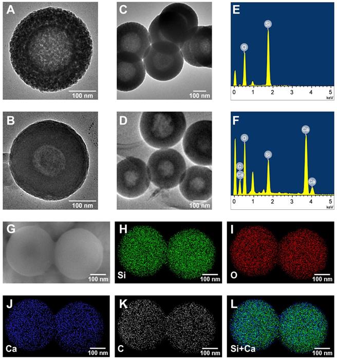 Theranostics Image