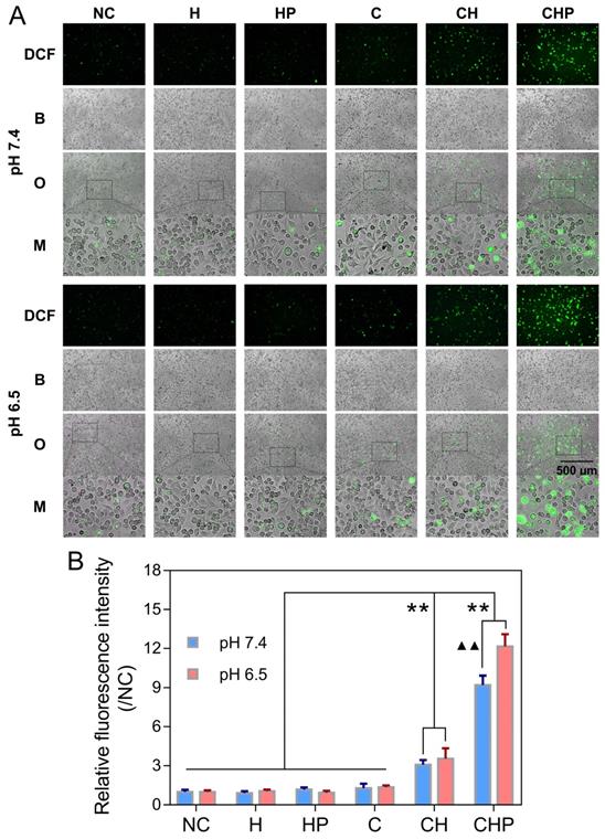 Theranostics Image