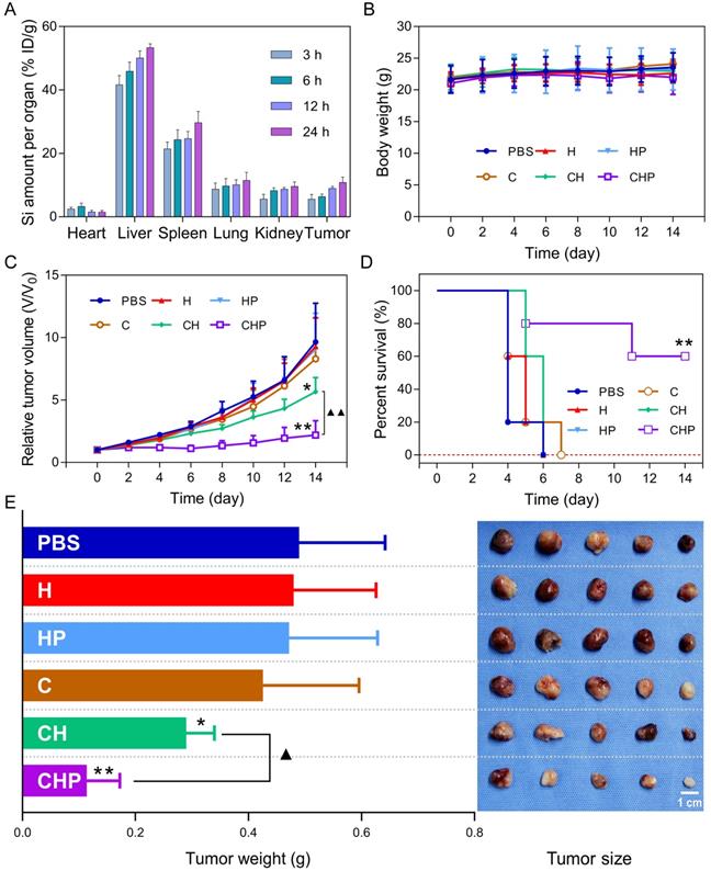 Theranostics Image