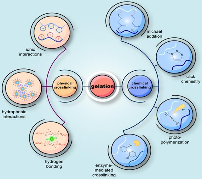 Theranostics Image