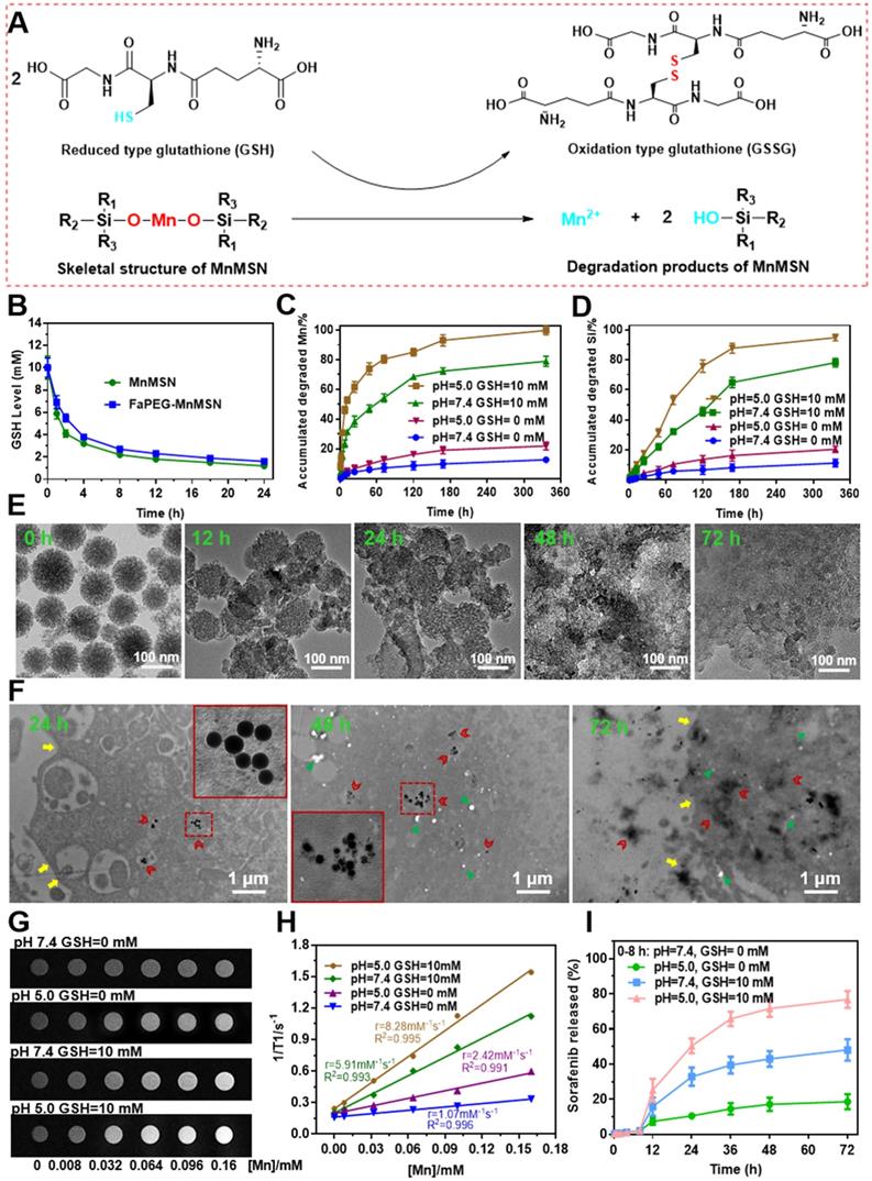 Theranostics Image