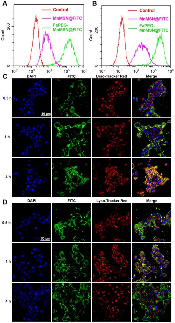 Theranostics Image