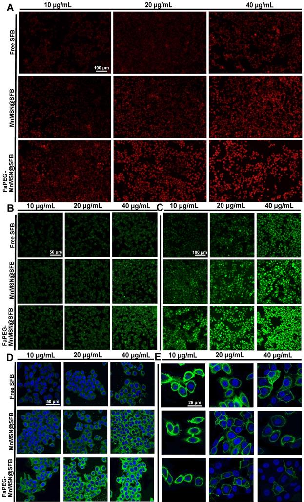 Theranostics Image