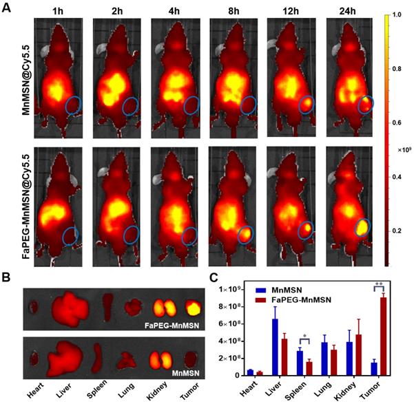 Theranostics Image