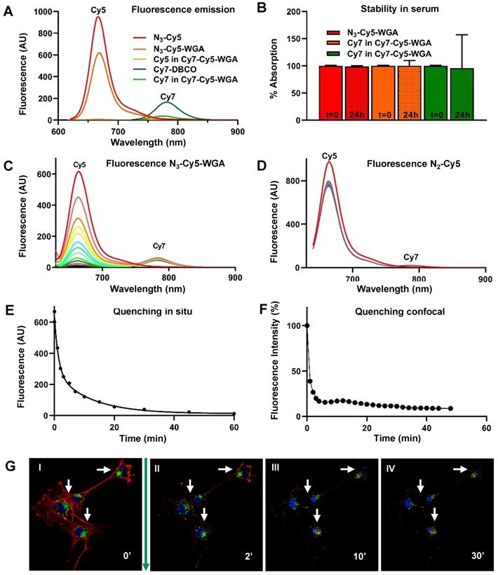 Theranostics Image