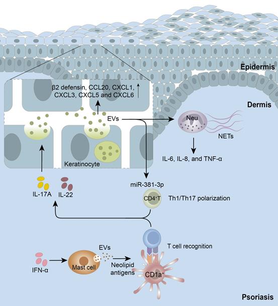 Theranostics Image