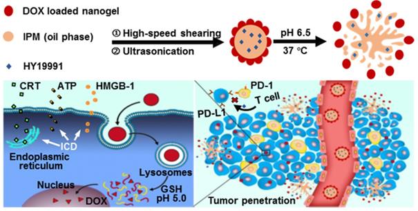 Theranostics Image