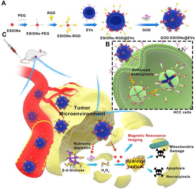 Theranostics Image