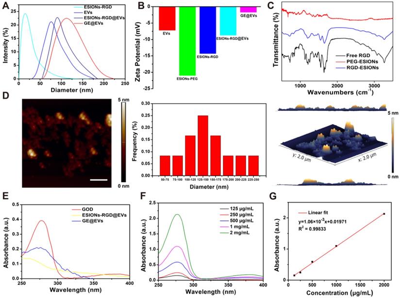 Theranostics Image