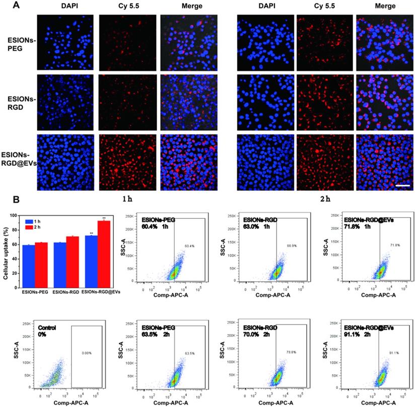 Theranostics Image