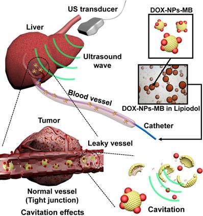 Theranostics Image