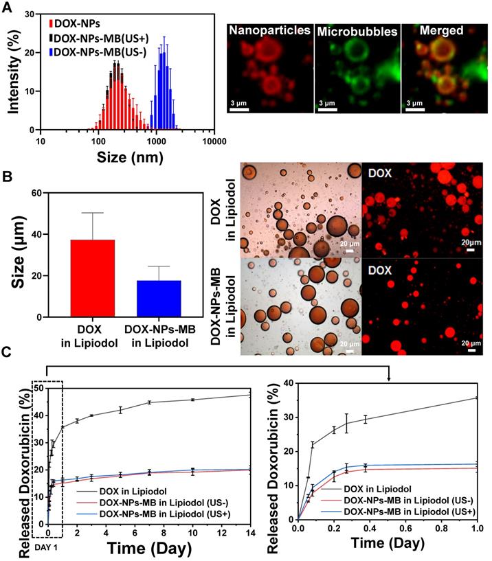 Theranostics Image