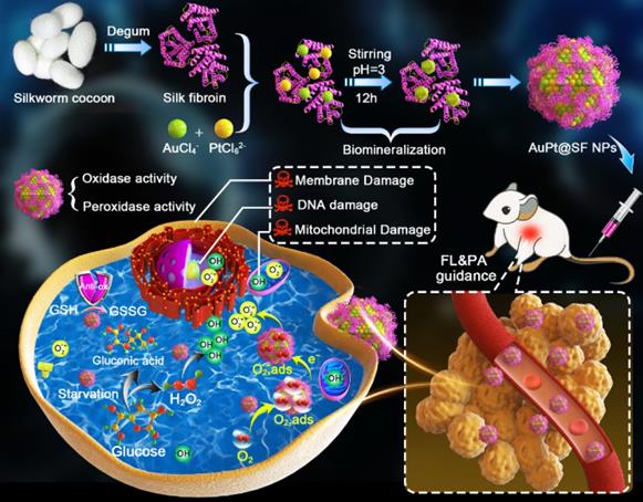 Theranostics Image