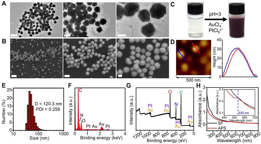 Theranostics Image