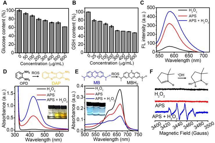 Theranostics Image