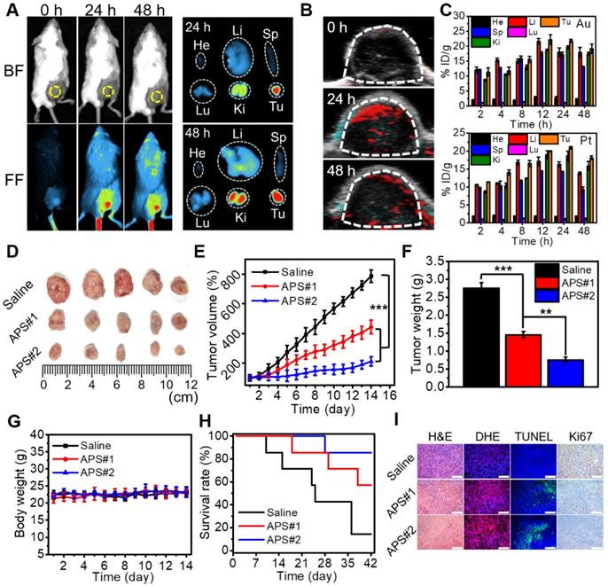 Theranostics Image