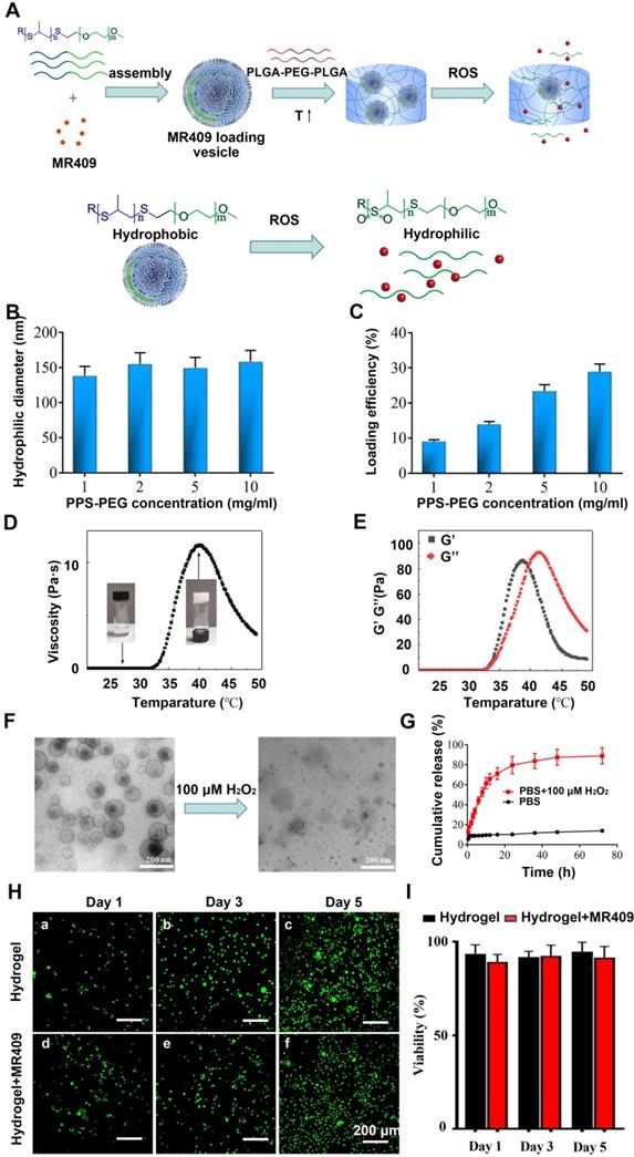 Theranostics Image