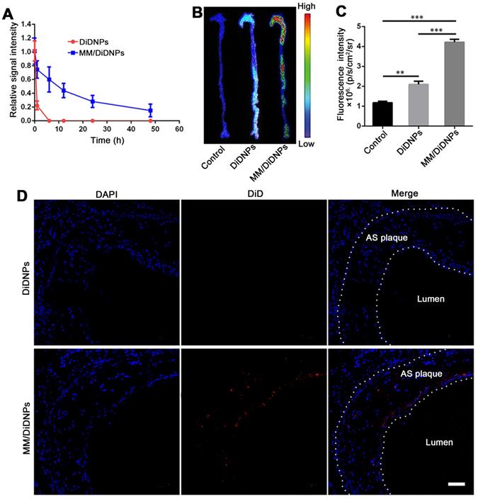 Theranostics Image