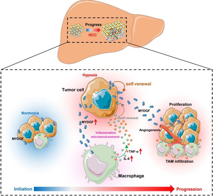 Theranostics Image