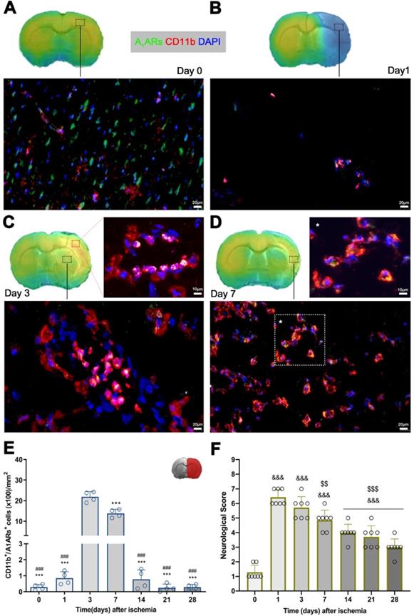 Theranostics Image