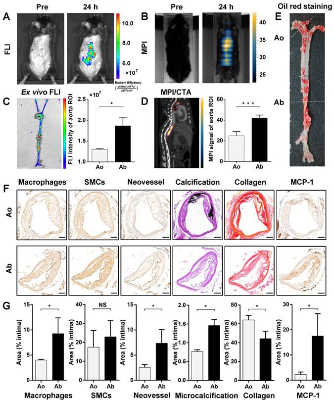 Theranostics Image