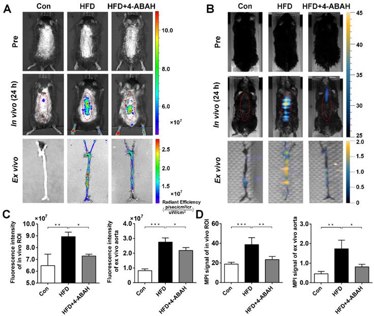 Theranostics Image