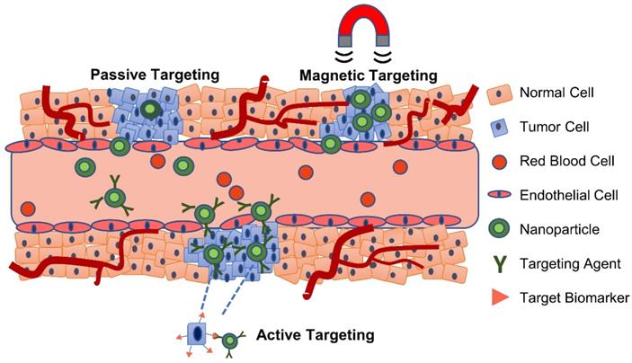 Theranostics Image