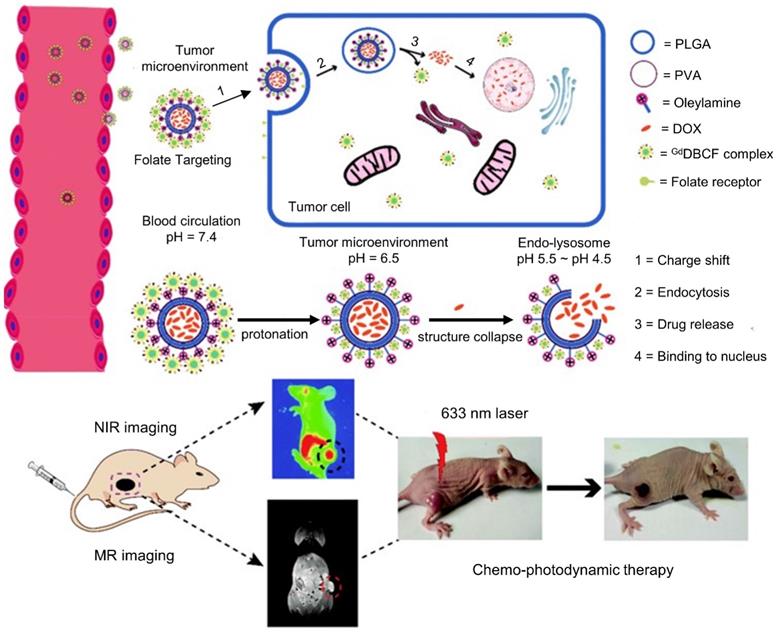 Theranostics Image