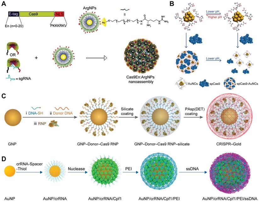 Theranostics Image